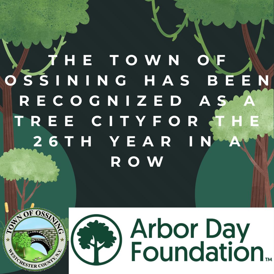 Tree City