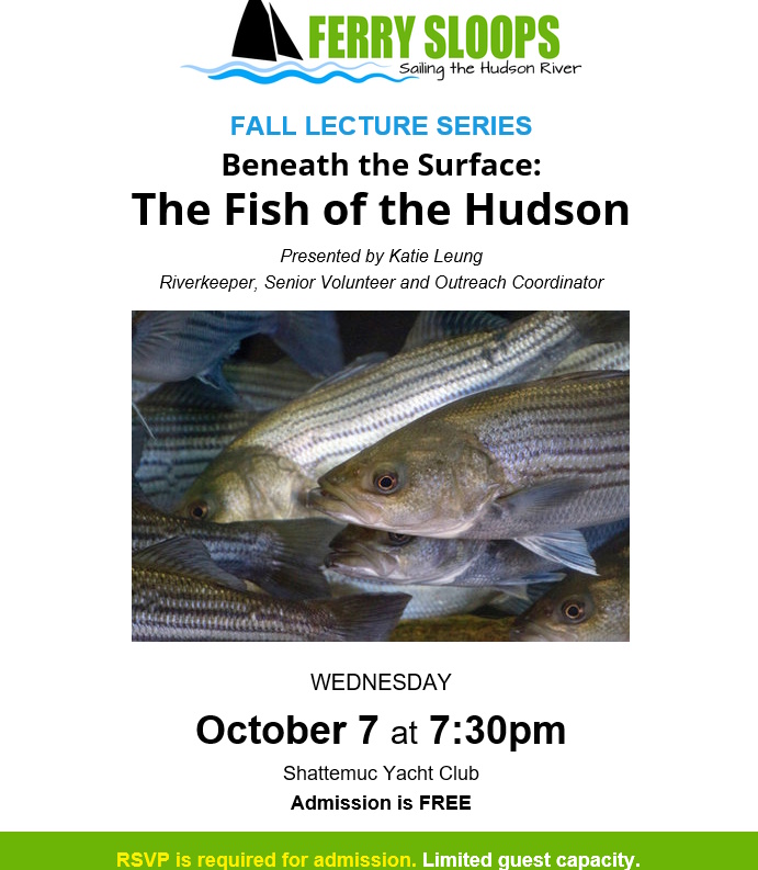 Fish of the Hudson